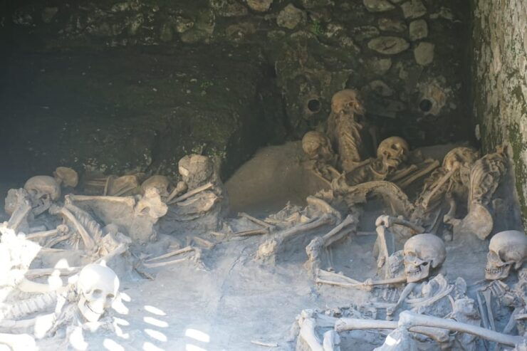 Discover Herculaneum Excavations With Insolitaguida - Good To Know