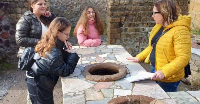Discover Herculaneum Excavations With Insolitaguida - Contact and Support