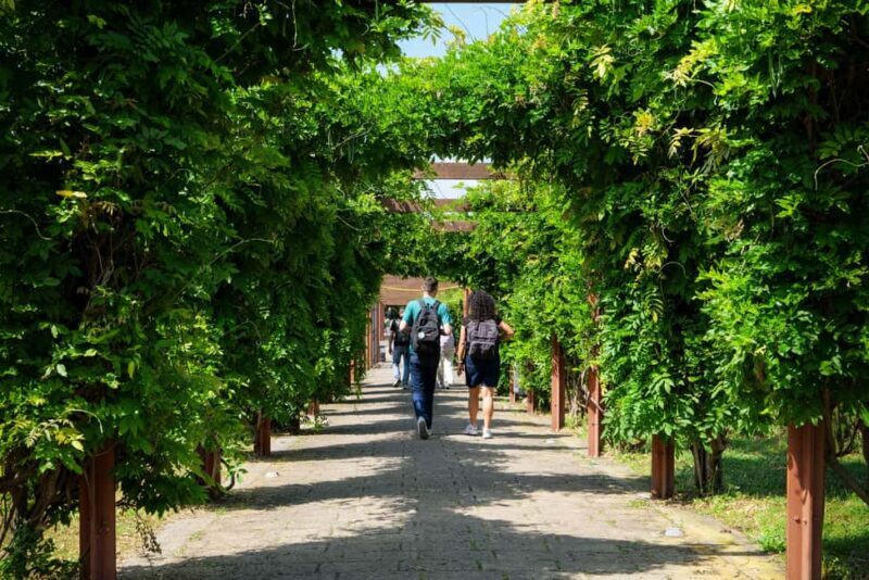 Discover Herculaneum: Guided tour in English of the ancient Roman city - Good To Know