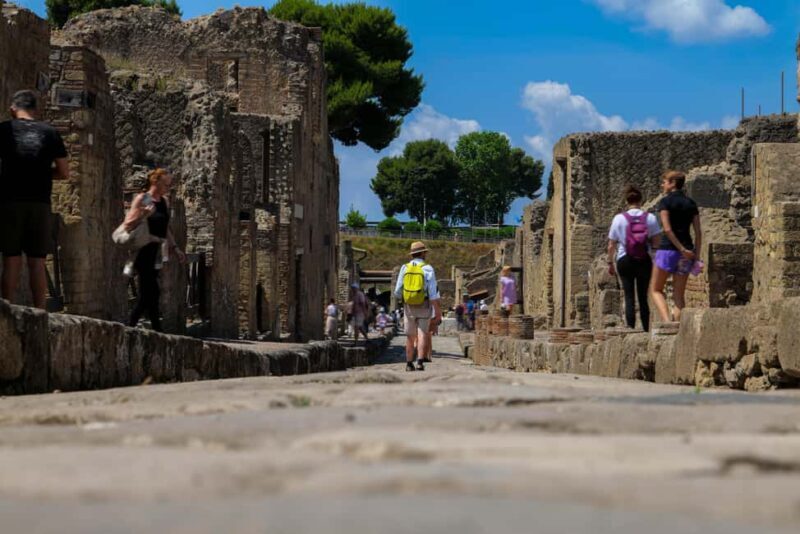 Discover Herculaneum: Guided tour in English of the ancient Roman city - What to Expect from the Tour