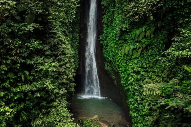 Discover Hidden Bali Waterfalls in Private All Inclusive Tour - Transportation, Timing, and Practicalities