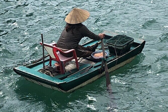 Discover Hidden Beauty Bai Tu Long Bay on an Exclusive Day Cruise - Who Should Consider This Experience?
