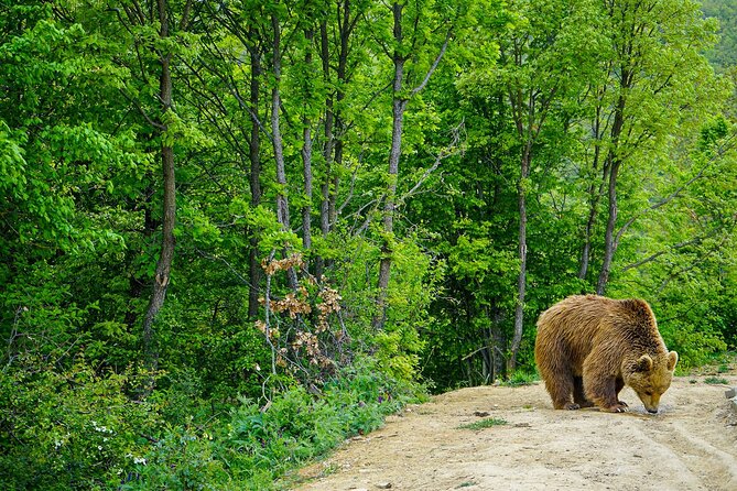 Discover Highlights of Kosovo in 4 Days Tour! - Frequently Asked Questions