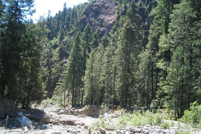 Discover Hiking Trails and a Convent in Desierto de los Leones - Why This Tour Offers Excellent Value