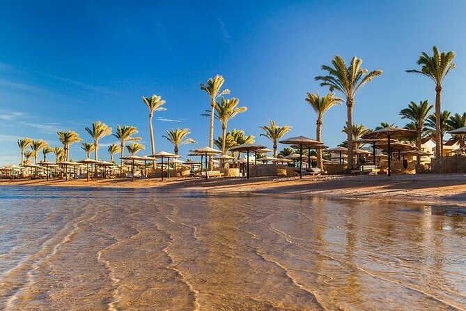 Discover Hurghada With a Private City Tour,With Private Transfer - Booking and Cancellation Policies
