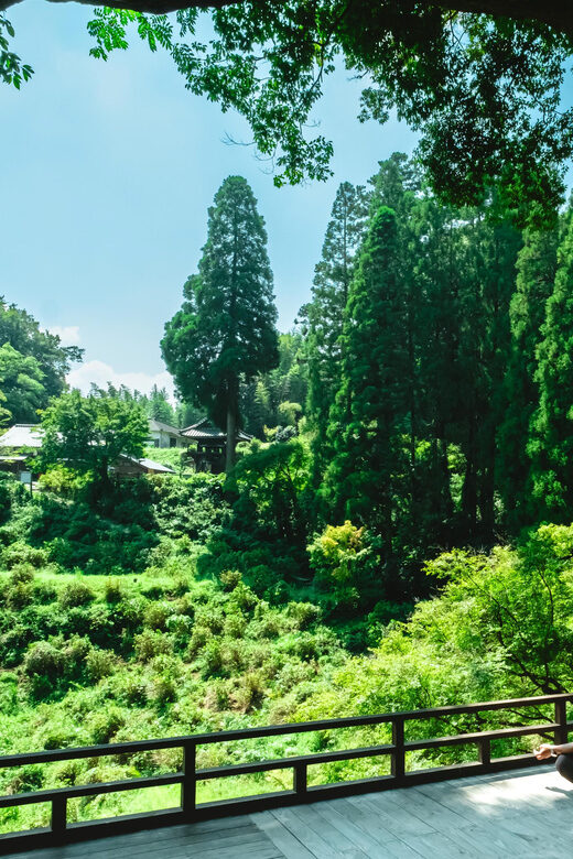 Discover Inner Peace at Fukoji Temple: Meditation Experience - Good To Know