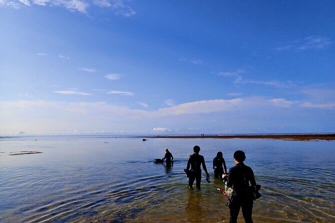 Discover Ishigaki's Hidden Treasures Snorkeling Tour at BlueCave - Practical Details