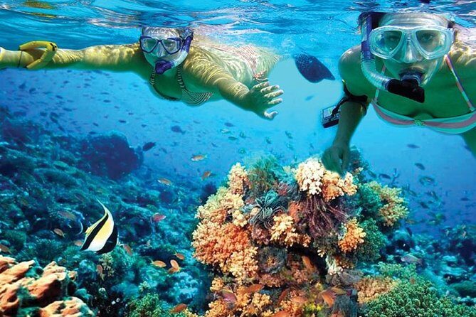 Discover Isla Mujeres in Catamaran. Buffet, Open Bar and Snorkel - Good To Know