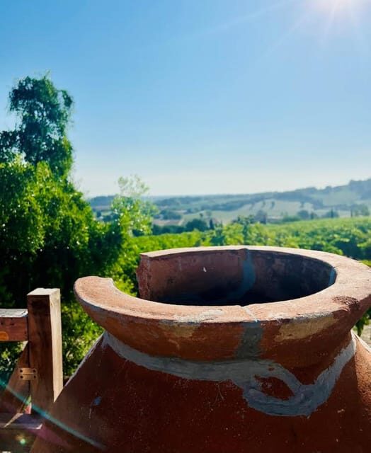 Discover Italian Wines: Exclusive Tasting at Tenuta La Viola - An Authentic Tour in Emilia-Romagna