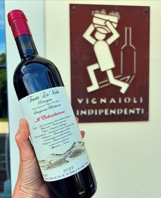 Discover Italian Wines: Exclusive Tasting at Tenuta La Viola - Final Thoughts