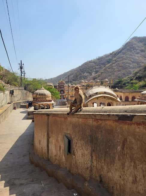 Discover Jaipur - An In-Depth Look at the Jaipur Private Tour