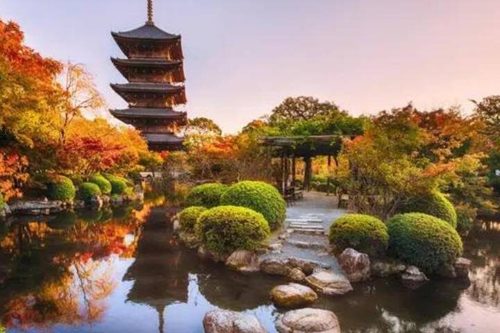 Discover Japan on a Budget: 8-Day Ultimate Starter by Vio Travel - At a glance: three cities, a food tour and plenty of free time