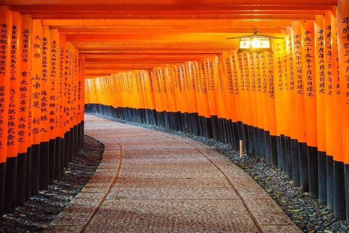 Discover Japan on a Budget: 8-Day Ultimate Starter by Vio Travel - Day 8: Osaka to Kansai Airport on the Rapi:t