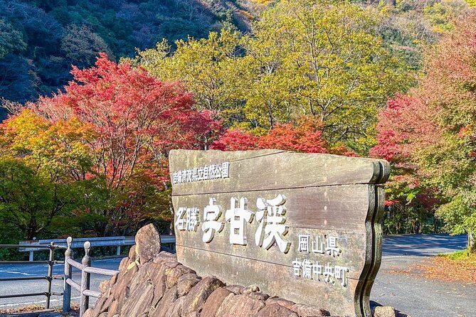 Discover Japan's Countryside in Autumn - Stunning Fall Foliage