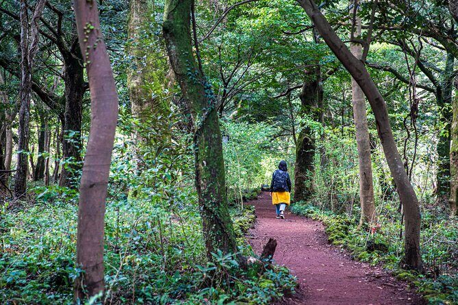 Discover Jeju in 3days: A Curated All-Inclusive Experience - The Full Breakdown: What to Expect from Each Day