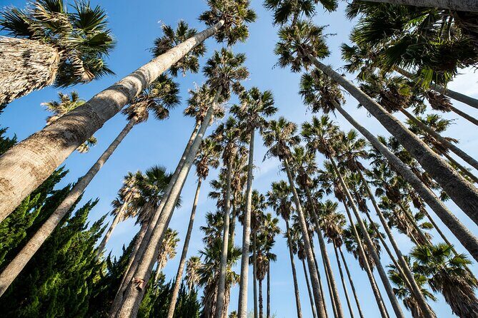 Discover Jeju in 3days: A Curated All-Inclusive Experience - Good To Know