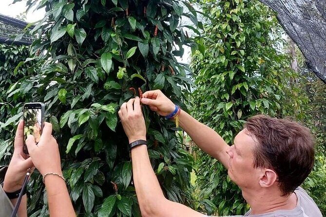 Discover Kampot Countryside, Pepper farm & Bokor Mountain - Good To Know