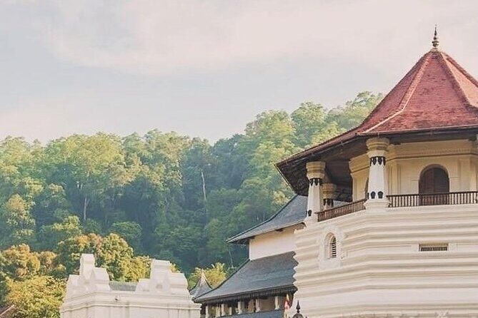 Discover Kandy by Tuk Tuk All inclusion - What to Expect from the Experience