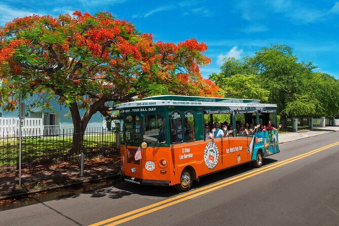 Discover Key West in a Day : Sun, Sea and Paradise - Good To Know