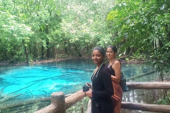 Discover Krabi - Emerald Pool, Hot Springs & Tiger Cave Temple - Emerald Pool