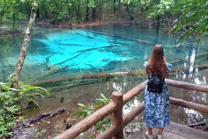 Discover Krabi - Emerald Pool, Hot Springs & Tiger Cave Temple - Hot Springs