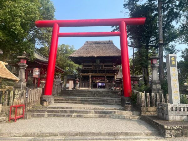 Discover Kumamotos Hidden Gem: Kumamoto Awaits You - Local Cuisine Delights