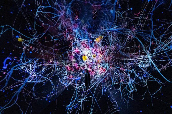Discover Kyoto TeamLab Biovortex Experience - The Value and Practical Aspects