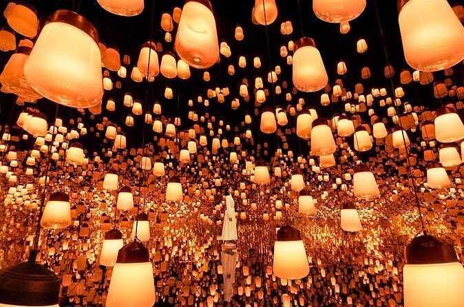 Discover Kyoto TeamLab Biovortex Experience - The Sum Up