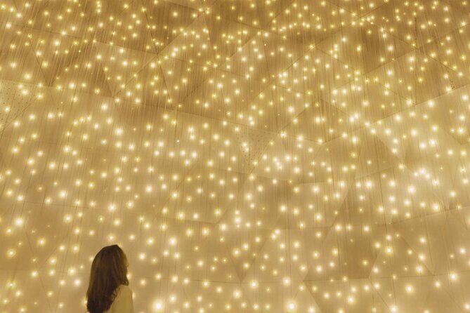 Discover Kyoto TeamLab Biovortex Experience - FAQs