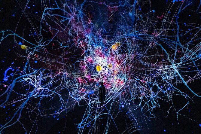 Discover Kyoto TeamLab Biovortex Experience - FAQ