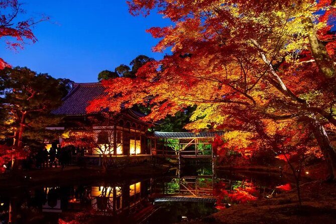 Discover Kyotos Most Magical Night - Who Should Consider This Tour?