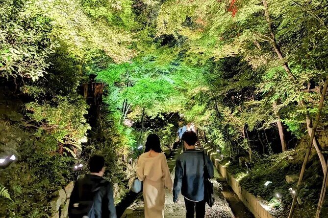Discover Kyotos Most Magical Night - A Closer Look at the Itinerary