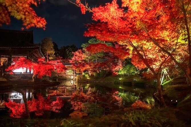 Discover Kyotos Most Magical Night - Final Thoughts