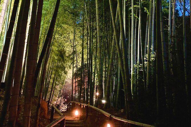 Discover Kyotos Most Magical Night - Frequently Asked Questions