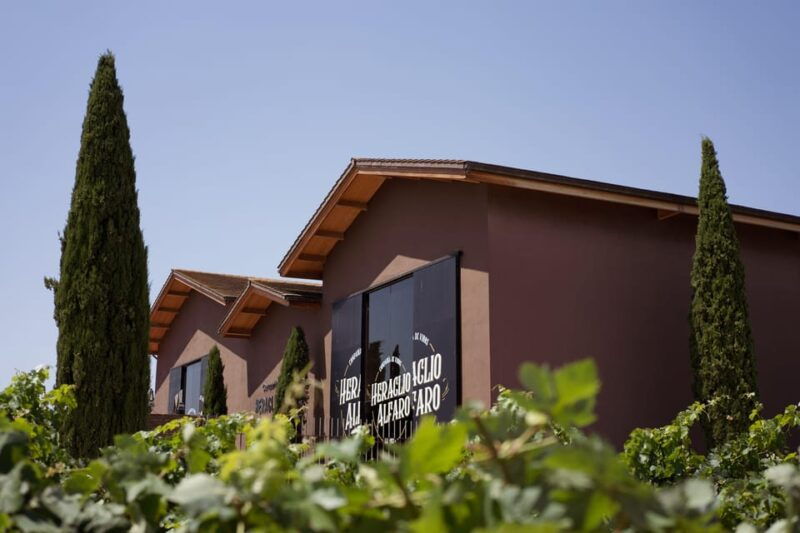 Discover La Rioja: Guided Winery Tour & Wine Tasting - Booking Information