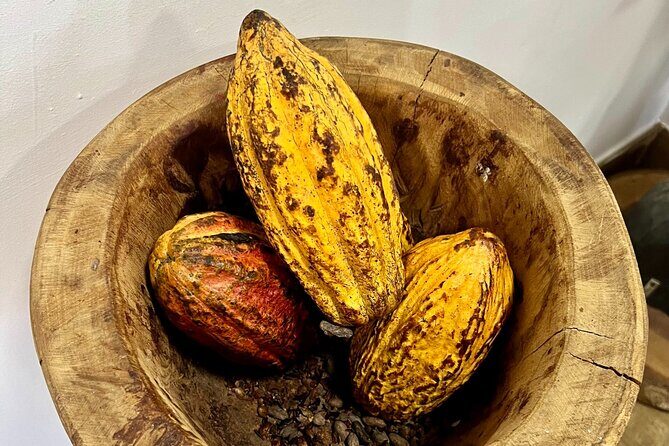 Discover La Romana Culture and local flavours - Sweet Endings: Chocolate Factory and Tastings