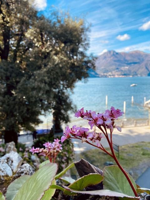 Discover Lake Como & Bellagio With a Local - Good To Know