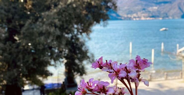 Discover Lake Como & Bellagio With a Local - Tour Details