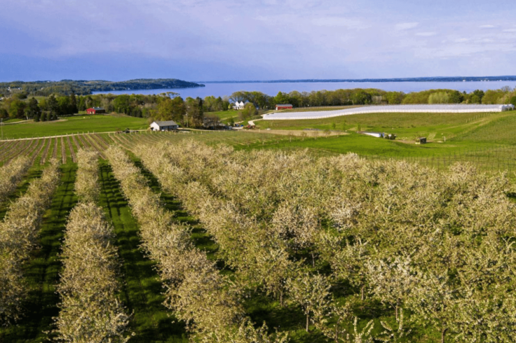 Discover Lake Michigan: Scenic Driving Tour - Good To Know