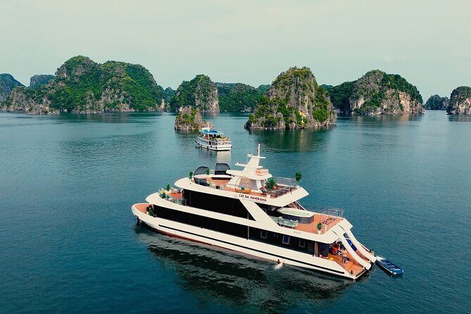 Discover Lan Ha Bays Beauty on a D'Charme Luxury Day Cruise - Food and Beverage