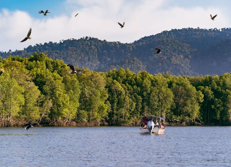 Discover Langkawi 4D3N/3D2N Shared Adventure Tour - The extra day: a cable car, with a route to confirm