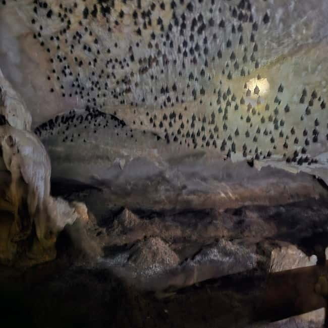 Discover Langkawi Like a local - Private Island Tour - Who Will Love This Tour?