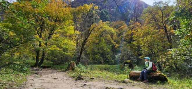 Discover Langtang: a 7-Day Trek From Kathmandu - Booking Process