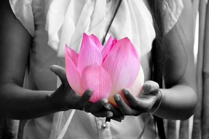 Discover Learn and Experiment the Sacred Lotus Flower - Lotus Farm Experience