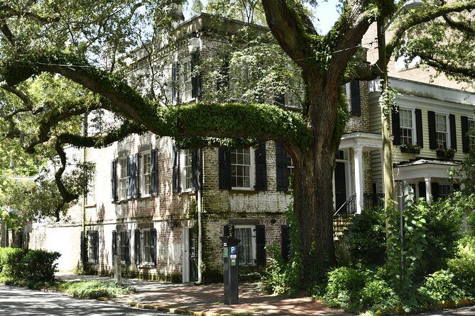 Discover Lesser Known Stories on the Hidden Savannah Walking Tour - Good To Know