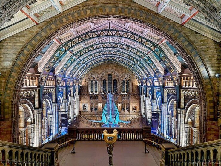 Discover Londons Natural Wonders: Museum Expedition - Tour Details