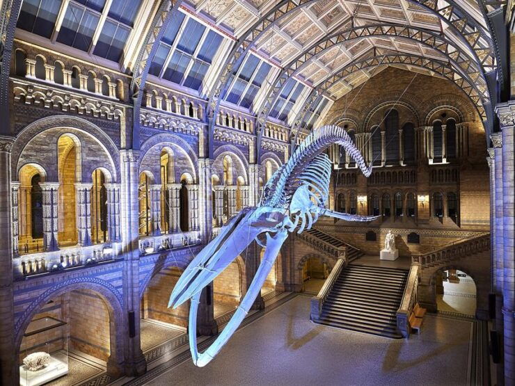 Discover Londons Natural Wonders: Museum Expedition - Booking Information