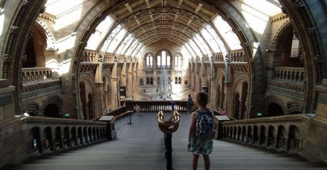 Discover Londons Natural Wonders: Museum Expedition - Experience Highlights