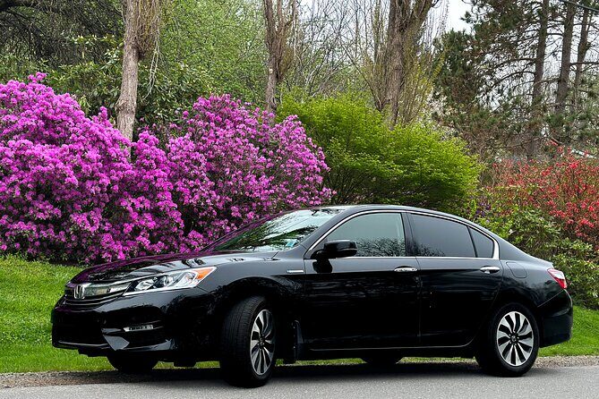 Discover Lunenburg and Mahone Bay Guided Tour - Authentic Experiences & What Travelers Say