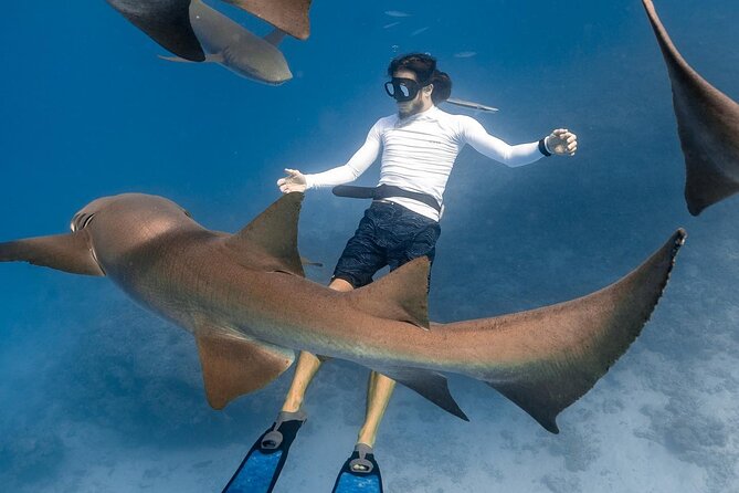 Discover Maafushi in 4 Nights 5 Days (Tour B) - Good To Know